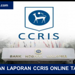 SEMAK CCRIS ONLINE TANPA KE BANK